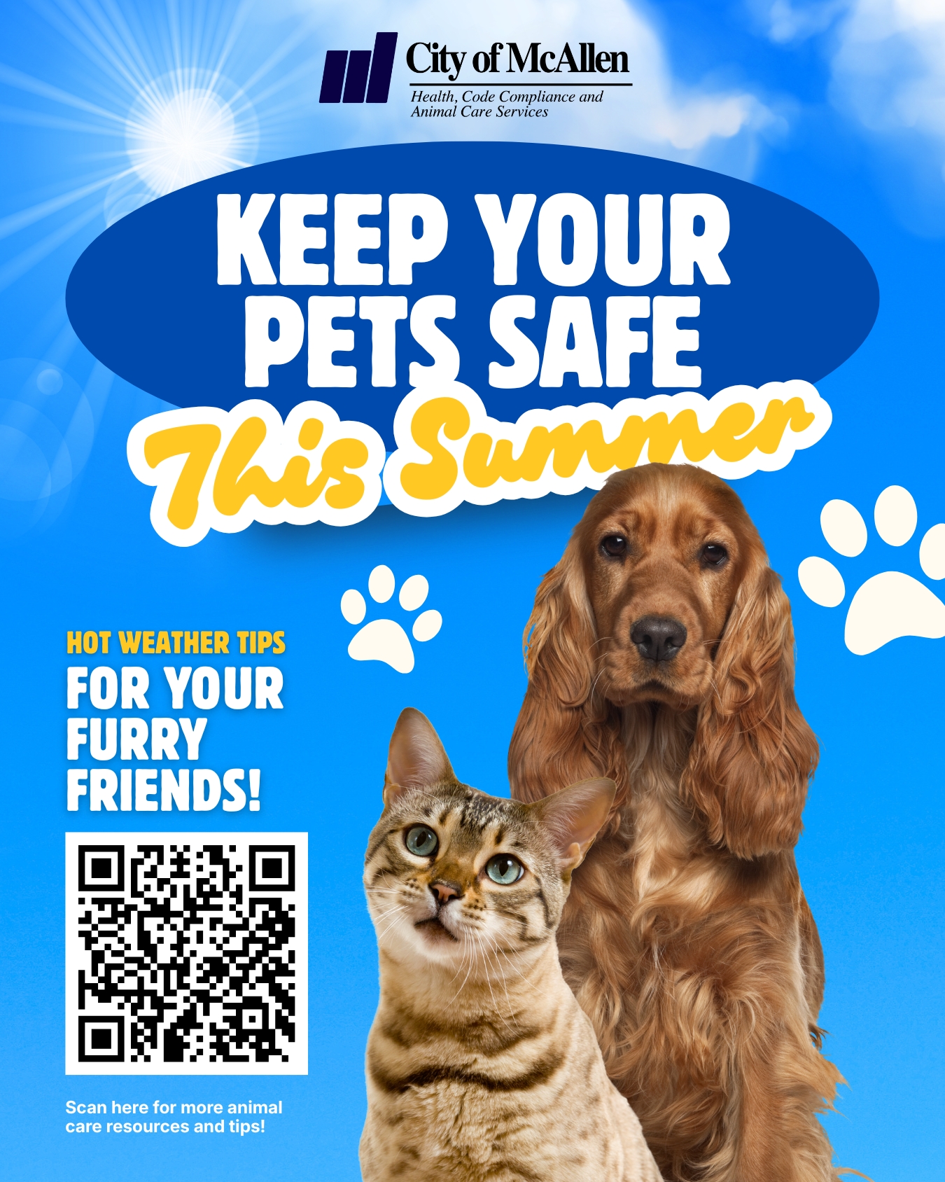keep-pets-safe-1