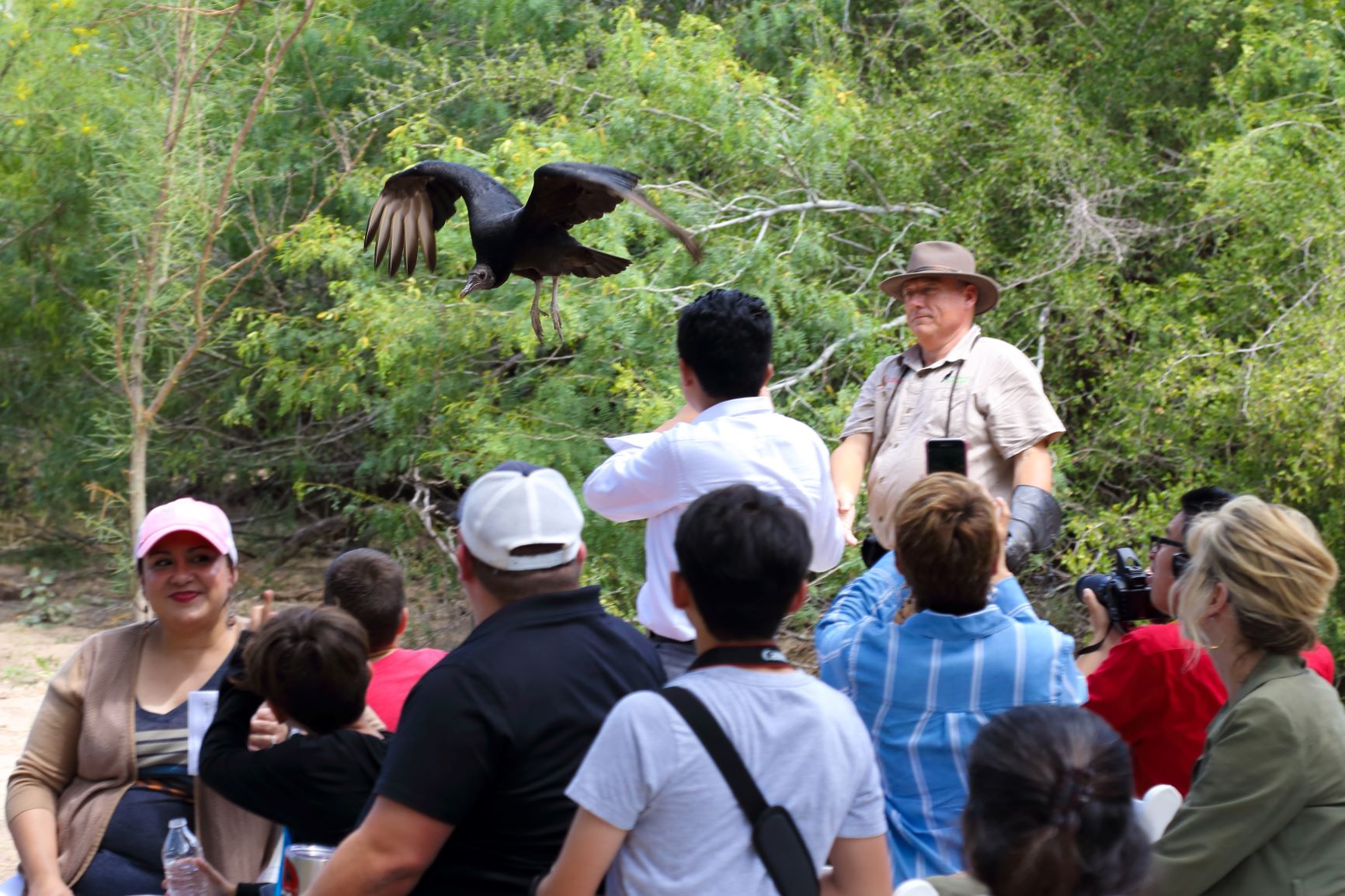 Flying Vulture 2