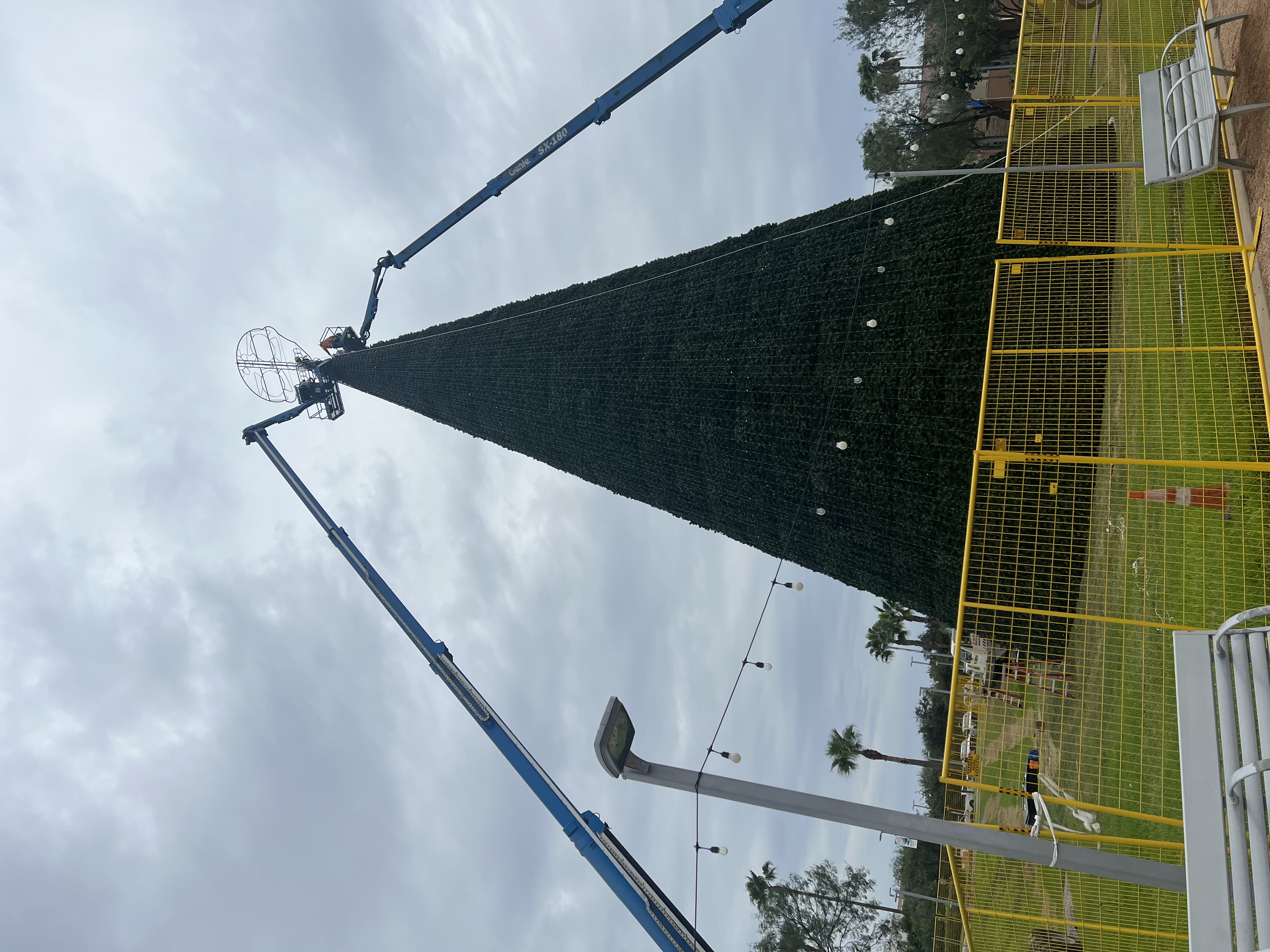 Worlds Largest Ca-TREE-na at MCC Oval Park 2023